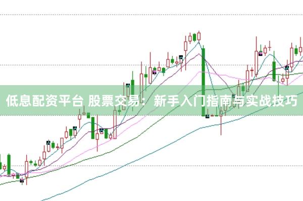 低息配資平臺 股票交易：新手入門指南與實戰(zhàn)技巧