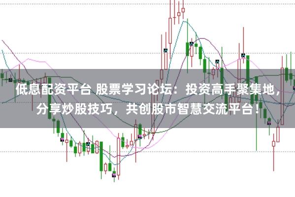 低息配資平臺(tái) 股票學(xué)習(xí)論壇：投資高手聚集地，分享炒股技巧，共創(chuàng)股市智慧交流平臺(tái)！