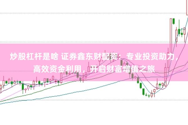炒股杠桿是啥 證券鑫東財配資：專業(yè)投資助力，高效資金利用，開啟財富增值之旅