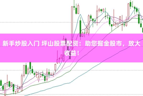 新手炒股入門 坪山股票配資：助您掘金股市，放大收益！