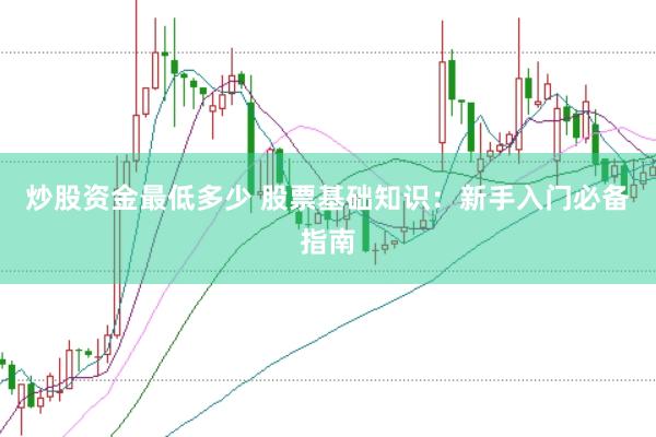 炒股資金最低多少 股票基礎(chǔ)知識(shí)：新手入門必備指南